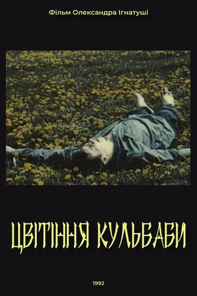 Póster de Tsvitinnia kulbaby