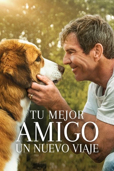 Póster de Tu mejor amigo: un nuevo viaje