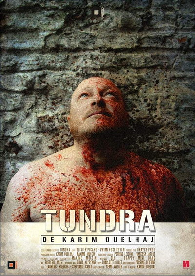 Póster de Tundra