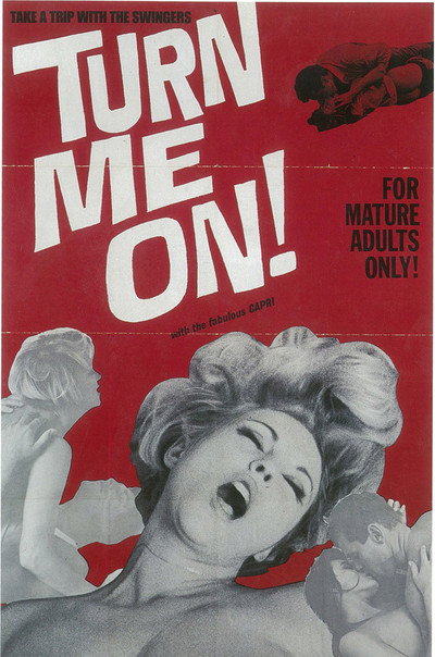 Póster de Turn Me On!