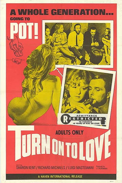 Póster de Turn on to Love