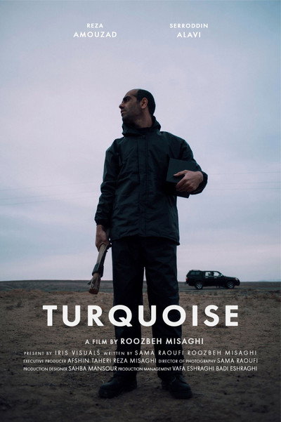 Póster de Turquoise