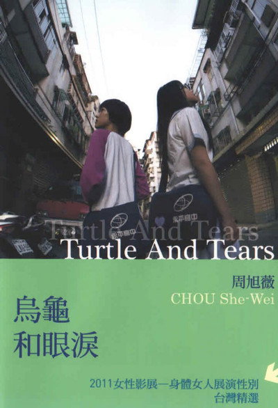 Póster de Turtle and Tears