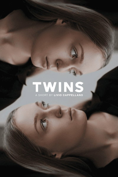 Póster de Twins