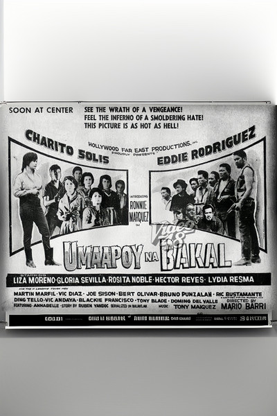 Póster de Umaapoy na bakal