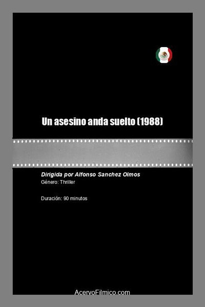 Póster de Un asesino anda suelto