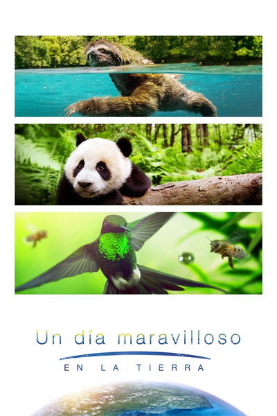 Póster de Un día maravilloso en la Tierra