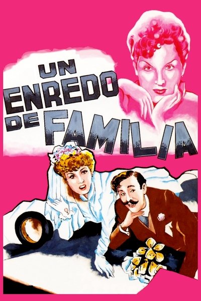 Póster de Un enredo de familia