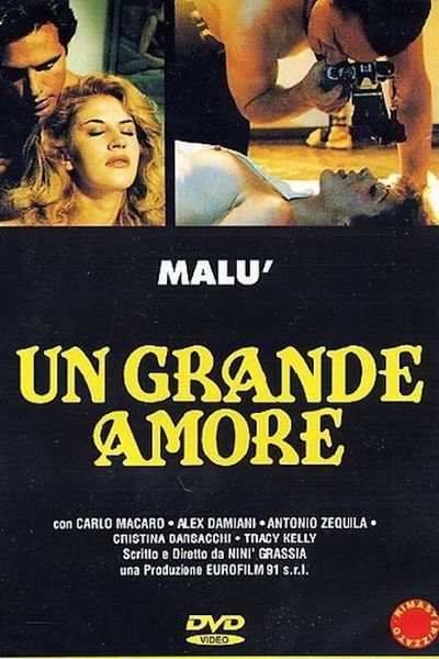 Póster de Un grande amore