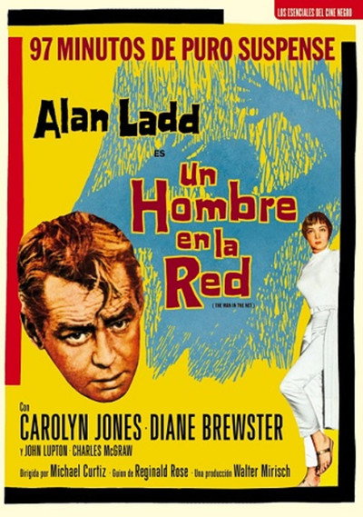 Póster de Un hombre en la red