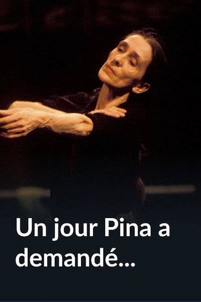 Póster de Un jour Pina a demandé...