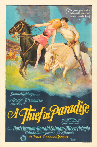 Póster de Un ladrón en el paraíso