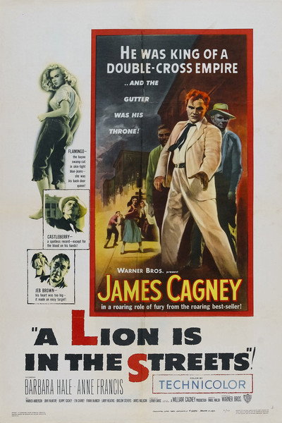 Póster de Un león en las calles