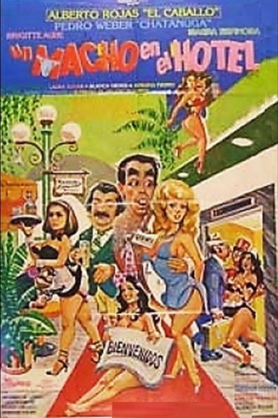 Póster de Un macho en el hotel