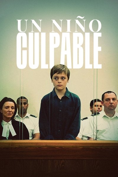 Póster de Un niño culpable