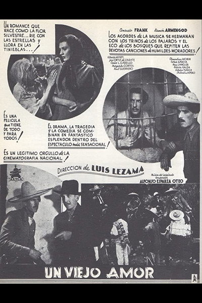 Póster de Un viejo amor