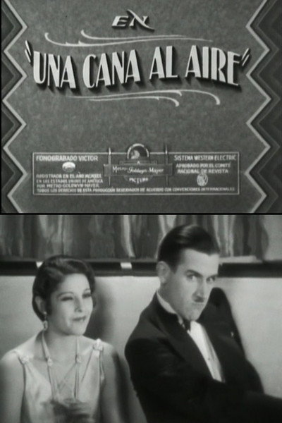 Póster de Una cana al aire