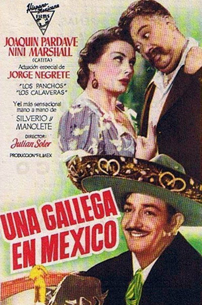 Póster de Una gallega en México