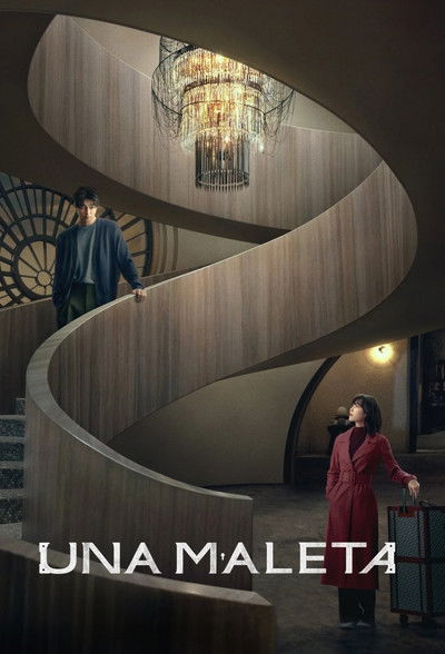 Póster de Una maleta