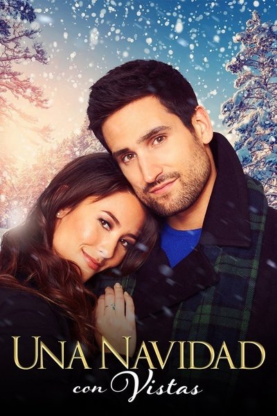 Póster de Una Navidad con vistas