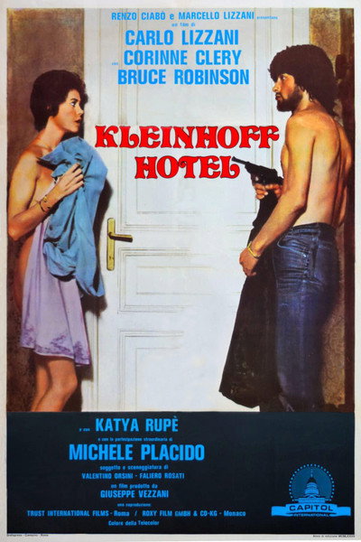 Póster de Una respetable dama burguesa