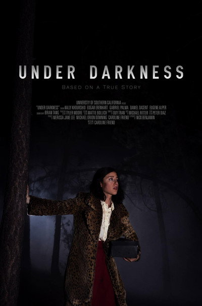 Póster de Under Darkness