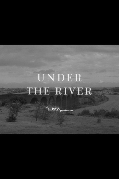 Póster de Under the River