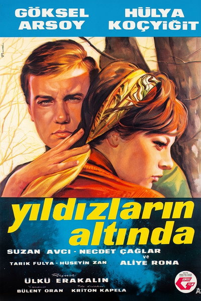 Póster de Under the Stars