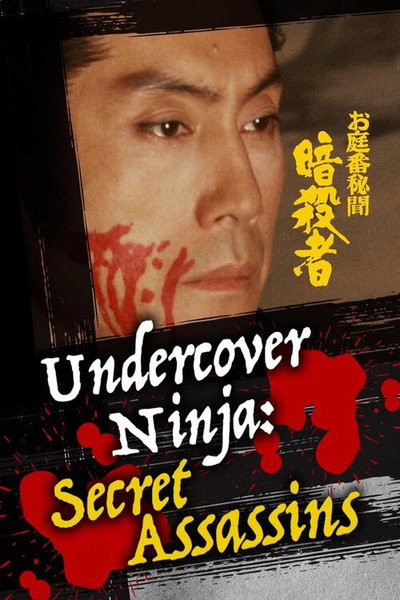 Póster de Undercover Ninja: Secret Assassins