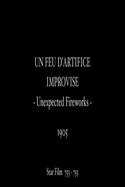 Póster de Unexpected Fireworks