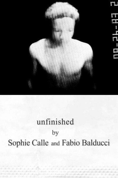 Póster de Unfinished