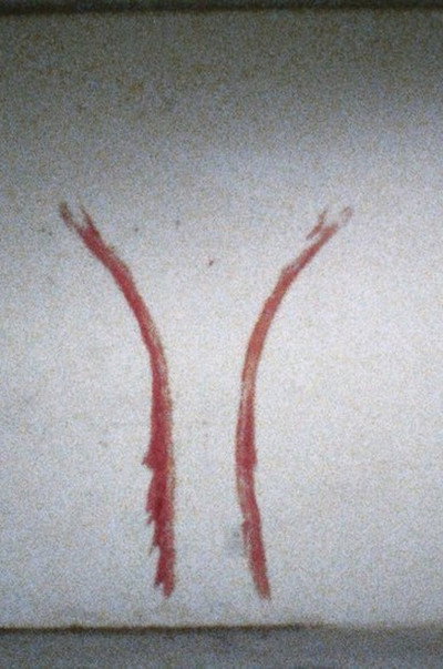 Póster de Untitled: Blood Sign No. 2, 'Body Tracks'