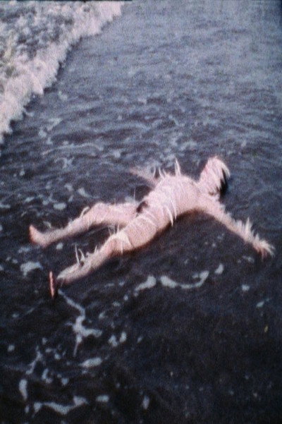 Póster de Untitled: Ocean Bird Washup