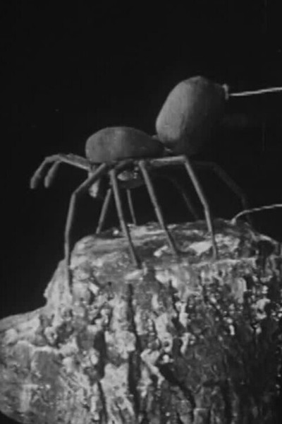 Póster de Urban Science: To Demonstrate How Spiders Fly