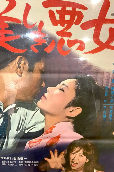 Póster de Utsukushiki akujo