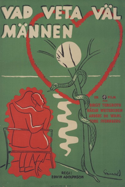 Póster de Vad veta väl männen?