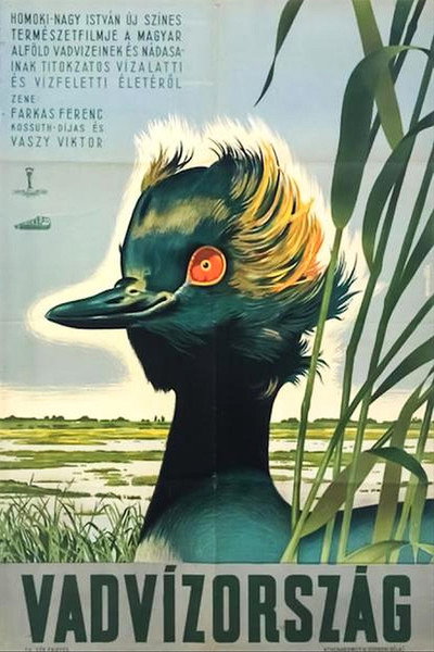 Póster de Vadvízország