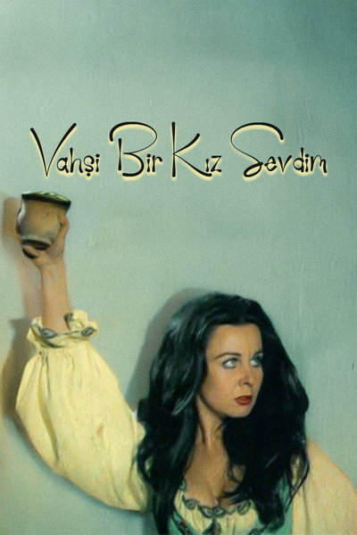 Póster de Vahsi Bir Kiz Sevdim