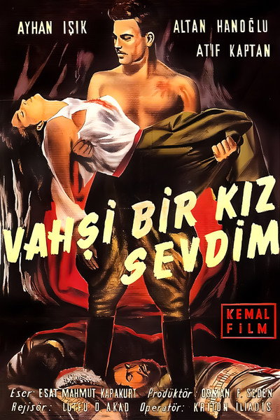 Póster de Vahsi bir kiz sevdim