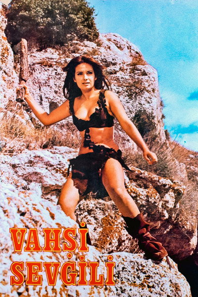 Póster de Vahsi Sevgili