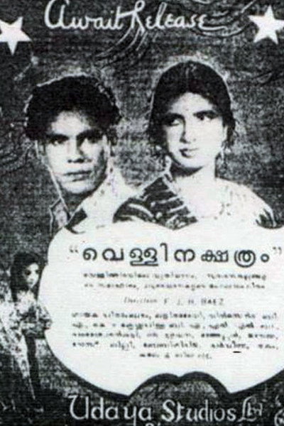 Póster de Vellinakshatram