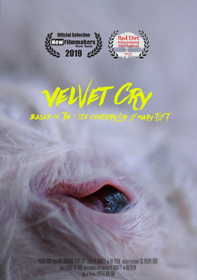 Póster de Velvet Cry