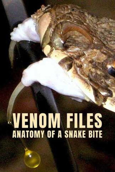 Póster de Venom Files - Anatomy of a Snake Bite