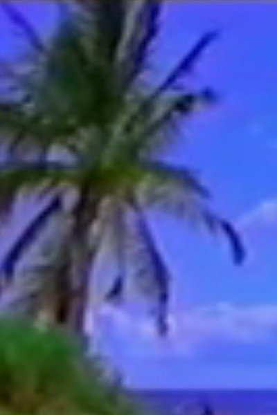 Póster de Vexation Island
