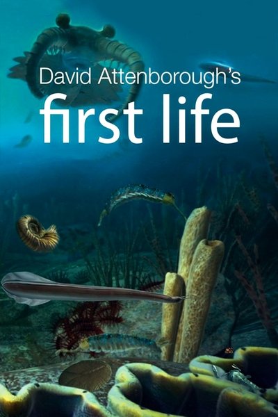 Póster de Vida primigenia