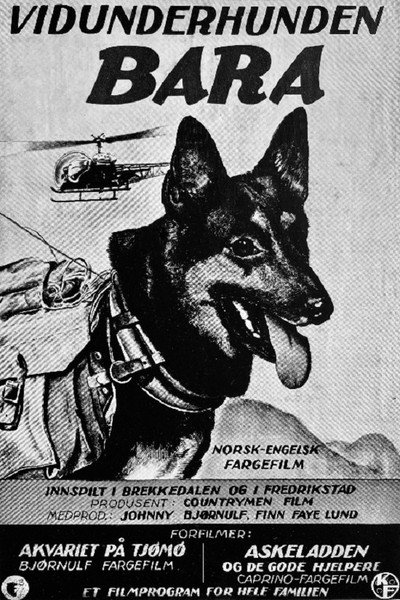 Póster de Vidunderhunden bara