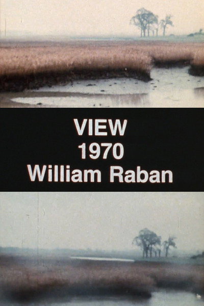 Póster de View