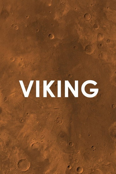 Póster de Viking