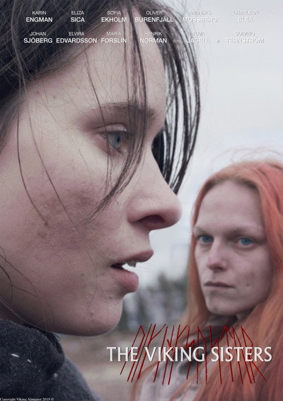 Póster de Vikingasystrar