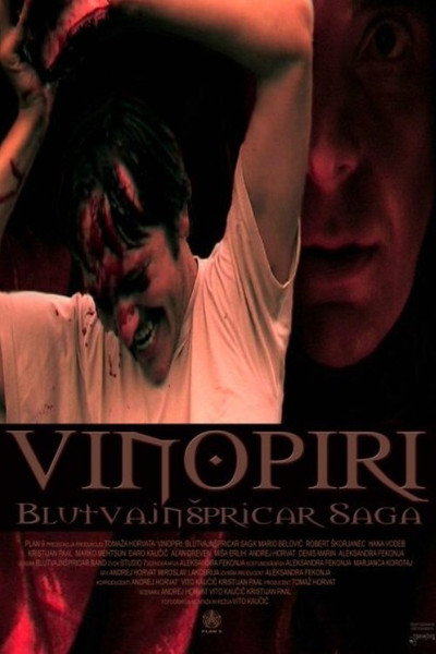 Póster de Vinopiri: Blutvajnspricar saga